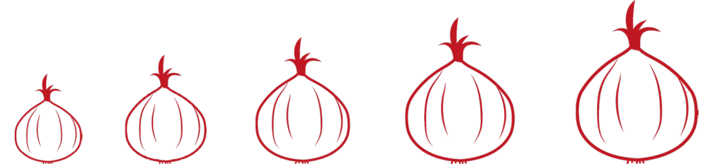 saveurs du léon - oignons conditionnement oignon de roscoff aop